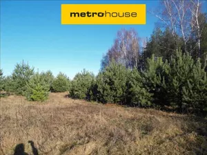 Działka 3 800,00 m², Puszcza Mariańska, Sprzedaż