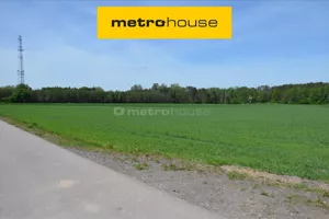 Działka 41 831,00 m², Raków Duży, Sprzedaż