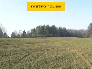 Działka 24 693,00 m², Ramsowo, Sprzedaż