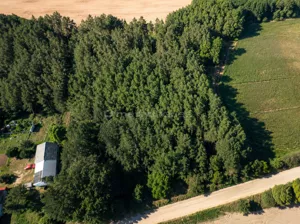 Działka 5 600,00 m², Rogacze, Sprzedaż