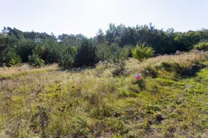 Działka 2 336,00 m², Rosnówko, Sprzedaż