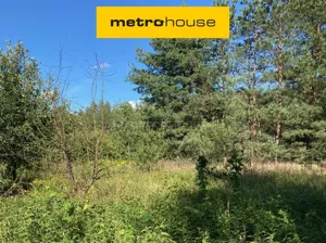 Działka 21 700,00 m², Rybaki, Sprzedaż