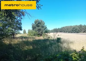 Działka 1 230,00 m², Sadowiec, Sprzedaż