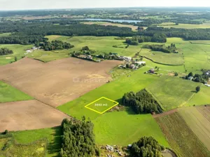 Działka 3 003,00 m², Sadowo, Sprzedaż