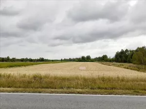 Działka 6 756,00 m², Sarzyna, Sprzedaż