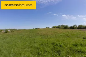 Działka 10 218,00 m², Sikory, Sprzedaż