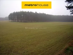 Działka 10 584,00 m², Silna, Sprzedaż