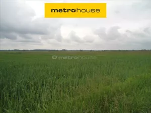 Działka 81 386,00 m², Silna, Sprzedaż