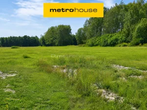 Działka 2 000,00 m², Grabce Wręckie, Skierniewicka, Sprzedaż