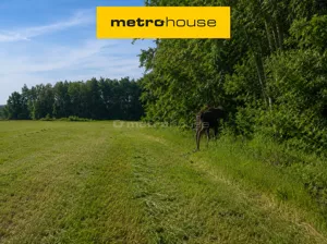 Działka 2 000,00 m², Grabce Wręckie, Skierniewicka, Sprzedaż