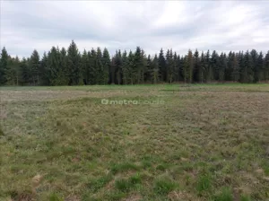 Działka 2 981,00 m², Skoroszów, Sprzedaż
