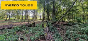 Działka 8 832,00 m², Mościska, Skowronkowa, Sprzedaż
