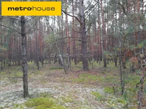 Działka 3 999,00 m², Skurcza, Sprzedaż
