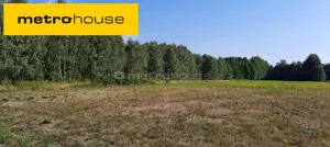 Działka 13 547,00 m², Sosnowe, Sprzedaż