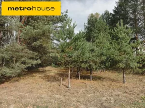 Działka 22 551,00 m², Iły, Spacerowa, Sprzedaż