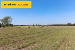 Działka 1 501,00 m², Spore, Sprzedaż