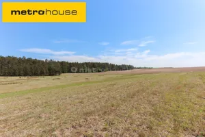 Działka 1 501,00 m², Spore, Sprzedaż