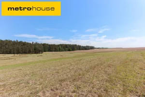 Działka 1 501,00 m², Spore, Sprzedaż