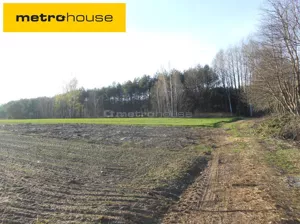 Działka 10 700,00 m², Stachlew, Sprzedaż