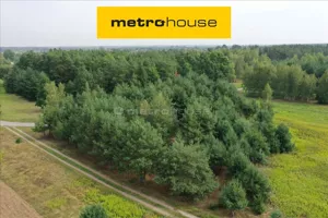 Działka 3 000,00 m², Stanisławów, Sprzedaż