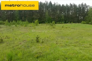 Działka 7 300,00 m², Stawiguda, Sprzedaż