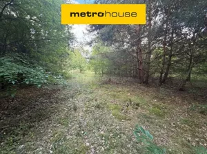 Działka 5 500,00 m², Nowy Kawęczyn, Strzyboga, Sprzedaż