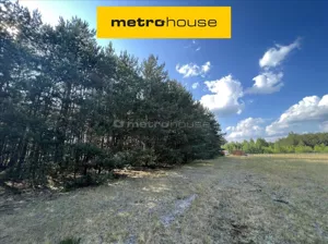 Działka 4 750,00 m², Świniotop, Sprzedaż