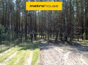 Działka 4 600,00 m², Swolszewice Duże, Sprzedaż