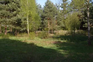 Działka 1 526,00 m², Swolszewice Duże, Sprzedaż