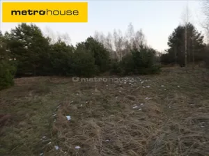 Działka 3 000,00 m², Teofile, Sprzedaż