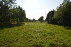 Działka 3 185,00 m², Tomaszów Mazowiecki, Sprzedaż