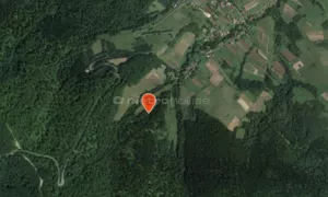 Działka 20 826,00 m², Tyrawa Wołoska, Sprzedaż