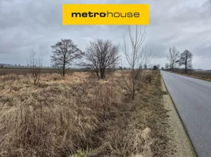 Działka 1 300,00 m², Ujeździec Wielki, Sprzedaż