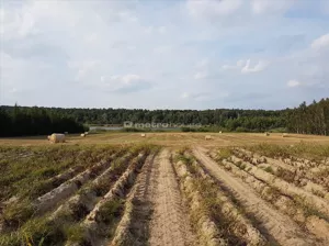 Działka 9 421,00 m², Wielka Wieś, Sprzedaż