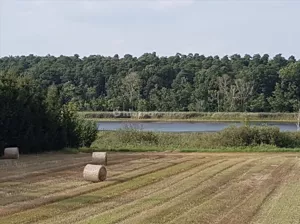 Działka 20 068,00 m², Wielka Wieś, Sprzedaż