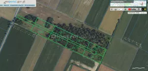 Działka 28 600,00 m², Wikcinek, Sprzedaż
