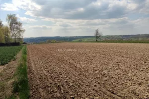 Działka 1 200,00 m², Wilczkowice, Sprzedaż