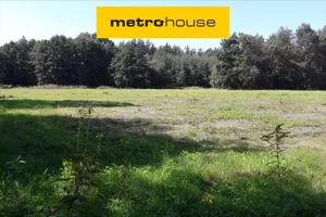 Działka 5 444,00 m², Wilków Polski, Sprzedaż