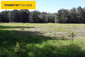 Działka 2 610,00 m², Wilków Polski, Sprzedaż