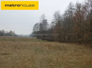 Działka 25 000,00 m², Wilków Polski, Sprzedaż