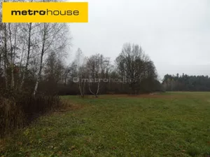 Działka 25 000,00 m², Wilków Polski, Sprzedaż