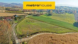 Działka 7 968,00 m², Witanowice, Sprzedaż