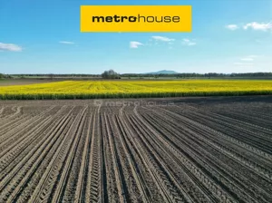 Działka 1 000,00 m², Wojtkowice, Sprzedaż
