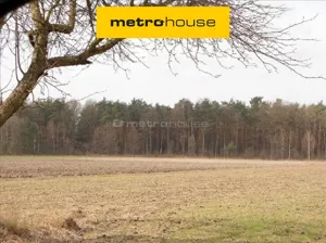 Działka 25 454,00 m², Wola Szydłowiecka, Sprzedaż