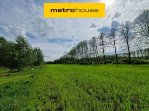 Działka 19 930,00 m², Wólka Dobryńska, Sprzedaż
