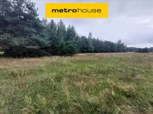 Działka 5 300,00 m², Wólka Plebańska, Sprzedaż