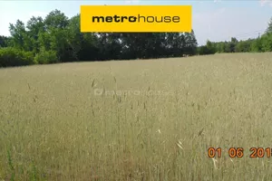 Działka 13 000,00 m², Wólka Smolana, Sprzedaż