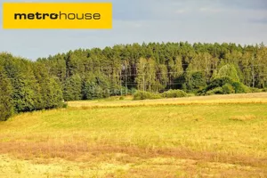 Działka 3 526,00 m², Woryty, Sprzedaż