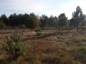 Działka 2 036,00 m², Wygoda, Sprzedaż