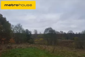 Działka 3 053,00 m², Żabi Róg, Sprzedaż